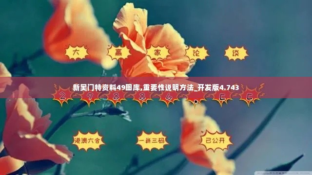 新奥门特资料49图库,重要性说明方法_开发版4.743