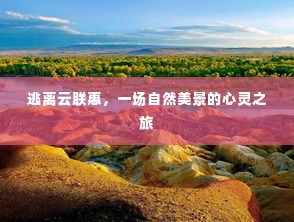 张灯挂彩 第4页