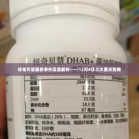 纽奇贝慧最新事件深度解析，三大要点前瞻（12月4日）