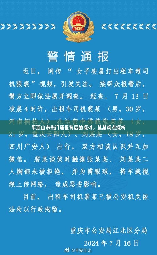 平顶山市热门通报背后的深度探析，某某观点解读