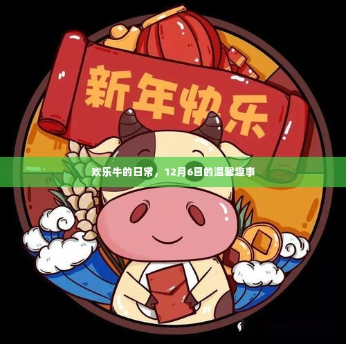 欢乐牛的日常，温馨趣事记录于12月6日