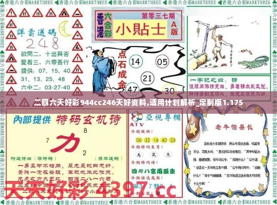 二四六天好彩944cc246天好资料,适用计划解析_定制版1.175