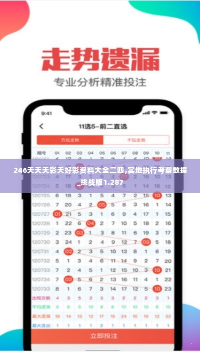 246天天天彩天好彩资料大全二四,实地执行考察数据_挑战版1.287