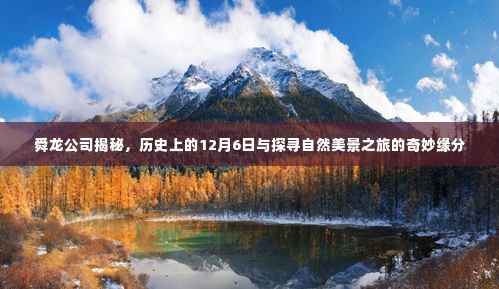 舜龙公司揭秘，历史与探寻自然美景之旅的奇妙缘分在12月6日显现