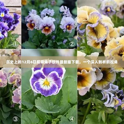 历史上的超级兔子软件最新版下载，深度剖析视角