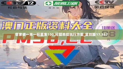 管家婆一肖一码最准100,问题总结执行方案_复刻版17.357