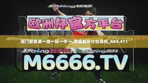 奥门管家婆一肖一码一中一,数据解析计划导向_AR4.411