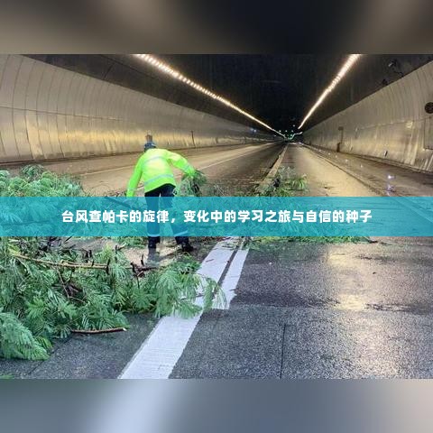 流光飞舞 第5页