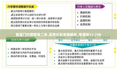 新澳门内部精准二肖,高效计划实施解析_专属款17.708