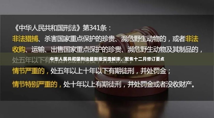 中华人民共和国刑法最新版深度解读，聚焦十二月修订要点详解