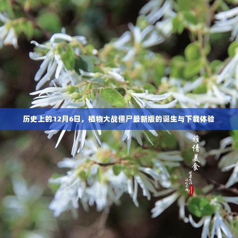 只争朝夕 第4页