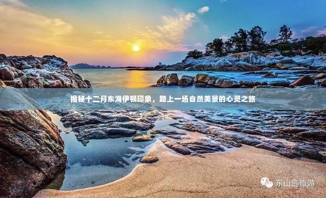 探寻十二月东海伊顿印象，自然美景的心灵之旅