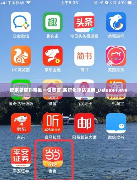 管家婆资料精准一句真言,系统化评估说明_Deluxe1.498