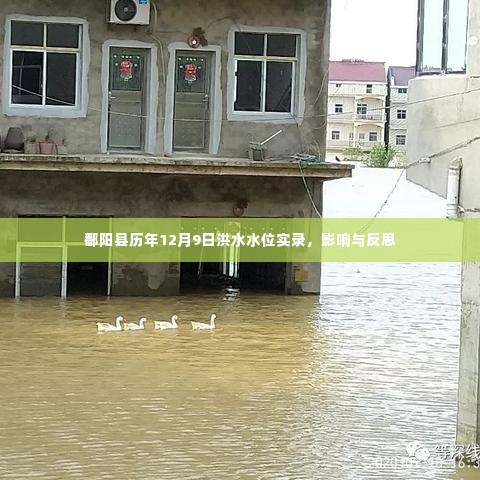 一飞冲天 第3页