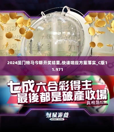 2024澳门特马今期开奖结果,快速响应方案落实_C版11.971