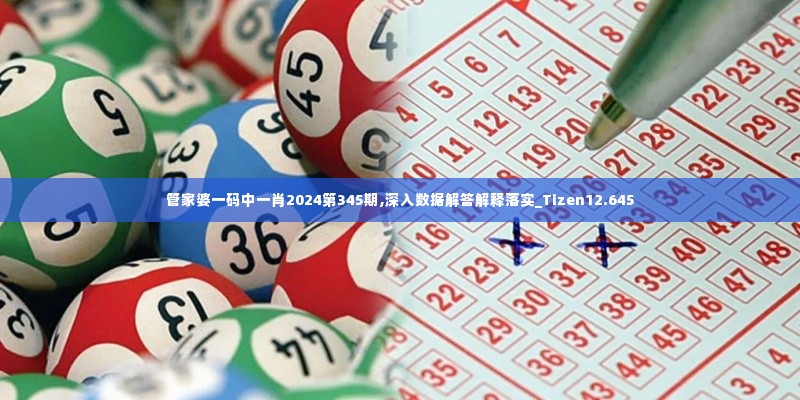 管家婆一码中一肖2024第345期,深入数据解答解释落实_Tizen12.645