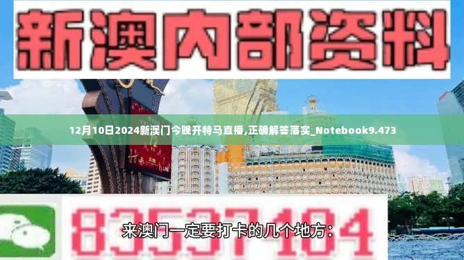 12月10日2024新澳门今晚开特马直播,正确解答落实_Notebook9.473