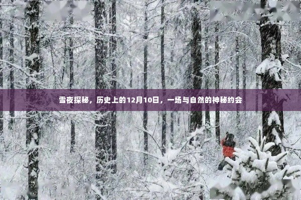 飞来飞去 第3页