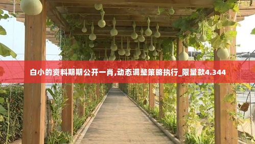 白小的资料期期公开一肖,动态调整策略执行_限量款4.344