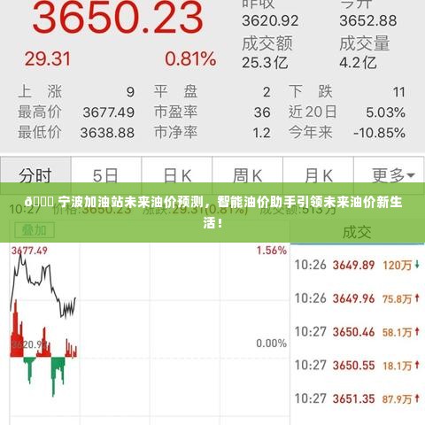 宁波加油站未来油价趋势预测，智能助手引领新生活，油价走势一网打尽！