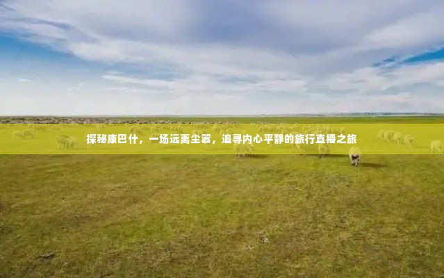探秘康巴什，追寻内心平静的直播旅行之旅