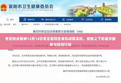 枣庄疫情热点揭秘，城市脉络与防控行动追踪报道（实时更新）