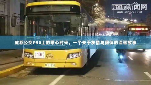 百鸟争鸣 第3页