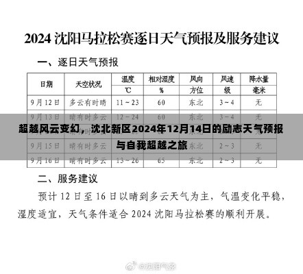 夯雀儿先飞 第3页