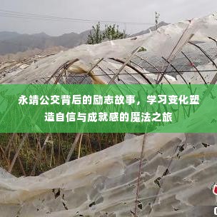 建筑材料 第225页