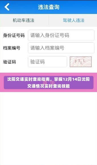 沈阳交通实时查询指南，掌握最新交通动态，轻松查询沈阳交通情况