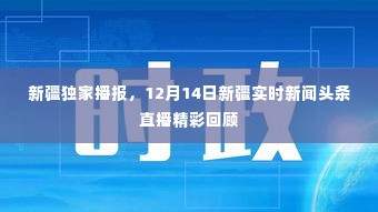 走马观花 第3页