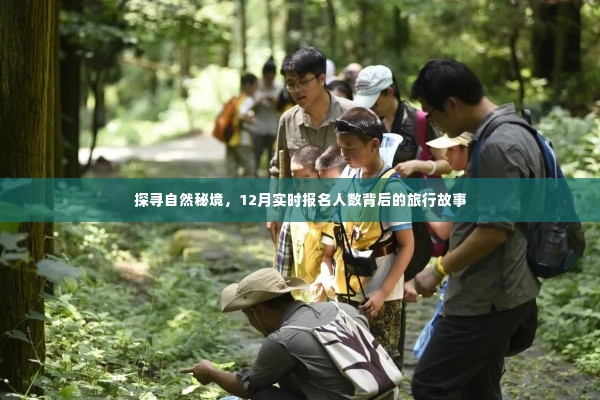 探寻自然秘境，揭秘实时报名人数背后的旅行故事