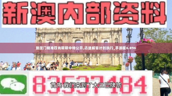 新澳门精准四肖期期中特公开,迅捷解答计划执行_手游版6.896