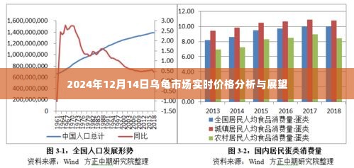 2024年乌龟市场实时价格分析与展望报告