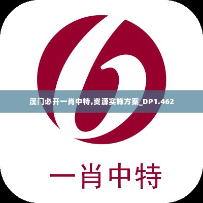 澳门必开一肖中特,资源实施方案_DP1.462