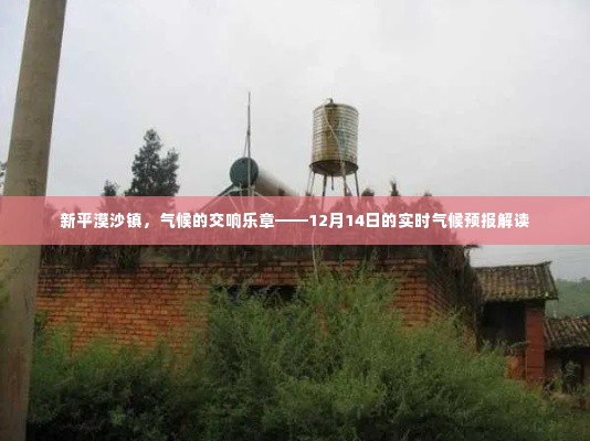 新平漠沙镇气候交响，12月14日实时气候预报解读