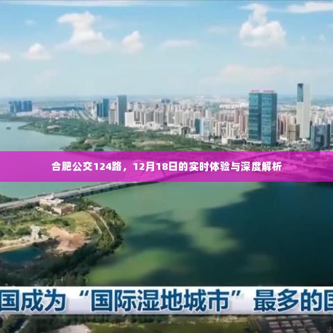 合肥公交124路深度体验与解析，12月18日实时观察