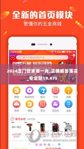 2024澳门管家婆一肖,正确解答落实_专业款19.475