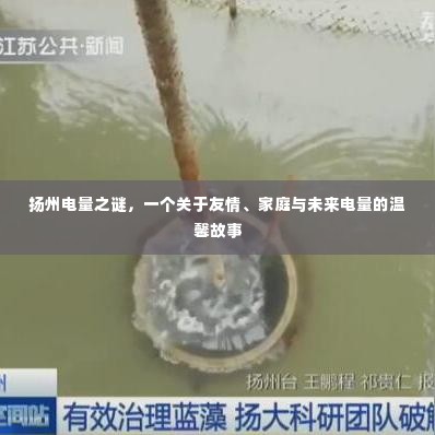 鸟穷则啄 第3页