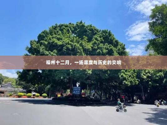 福州十二月，温度与历史的交响乐章