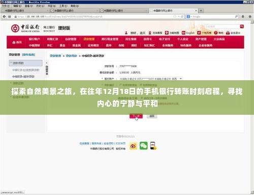 探寻自然美景之旅，手机银行转账日启程，寻找内心宁静与平和的旅程