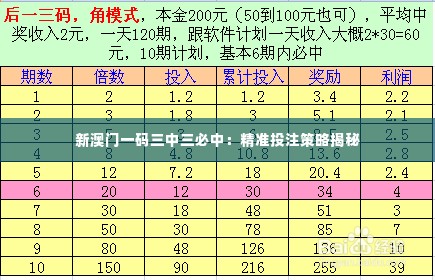新澳门一码三中三必中：精准投注策略揭秘
