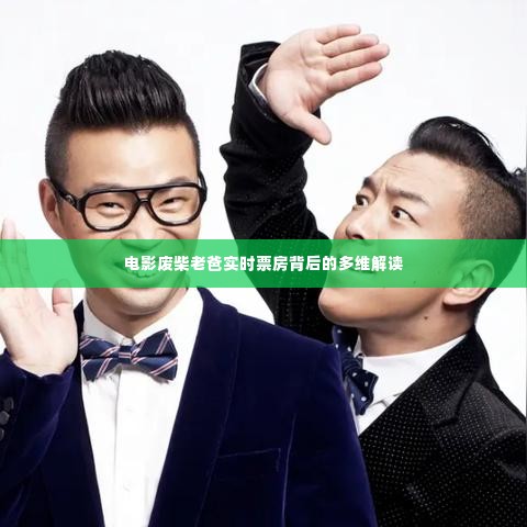 电影废柴老爸实时票房多维解读揭秘，背后的故事与启示