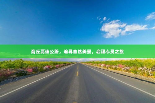 司空见惯 第3页