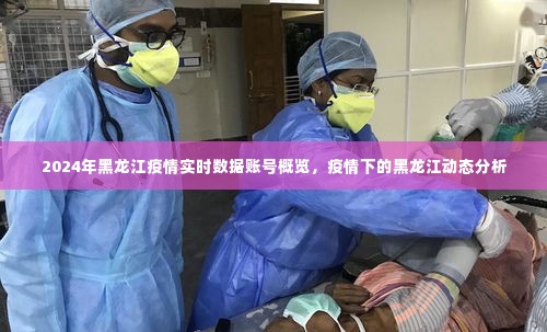 黑龙江疫情实时数据账号概览，疫情动态分析与展望