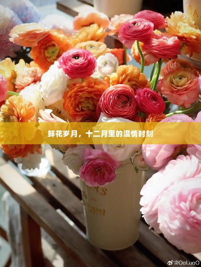 十二月温情时刻，鲜花岁月里的甜蜜记忆