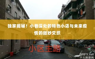 慌慌张张 第3页