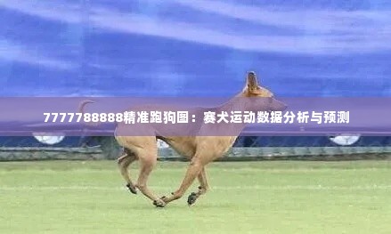 指李推张 第3页