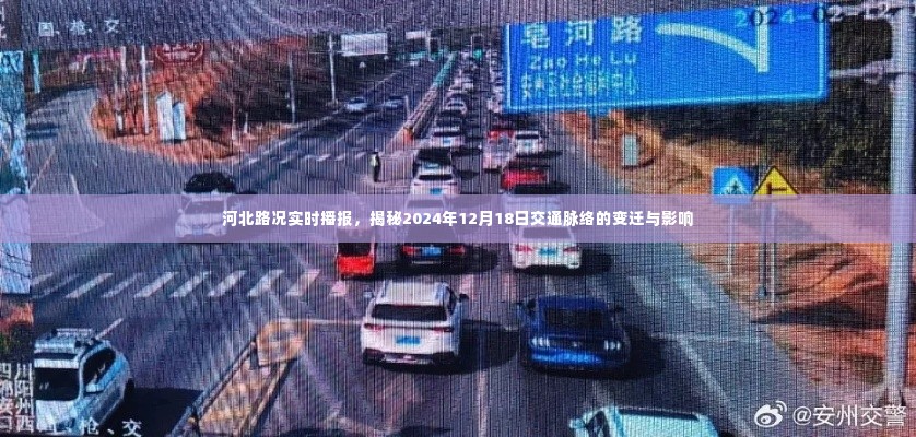 射飞逐走 第3页