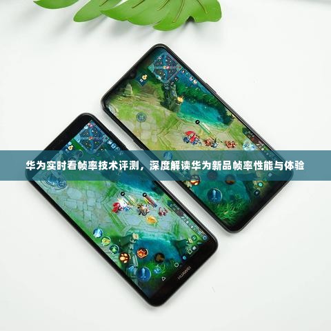 勤勤恳恳 第3页